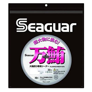 Флюорокарбон SEAGUAR Manyu 30m #40