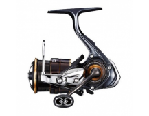 Катушка Daiwa 19 Ballistic FW LT 2500S-C