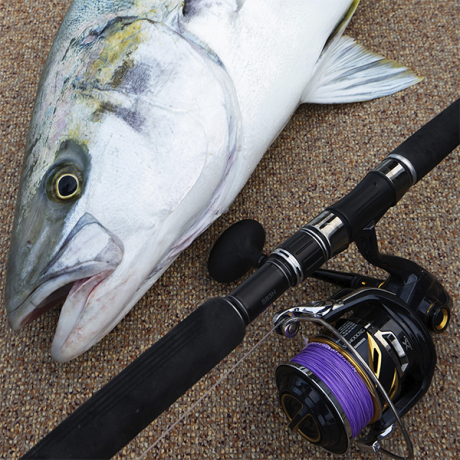 Без имени-24.jpg